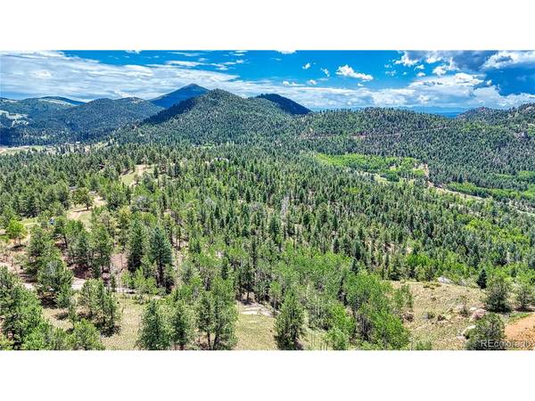 24 Wild Horse, Cripple Creek, CO 80813