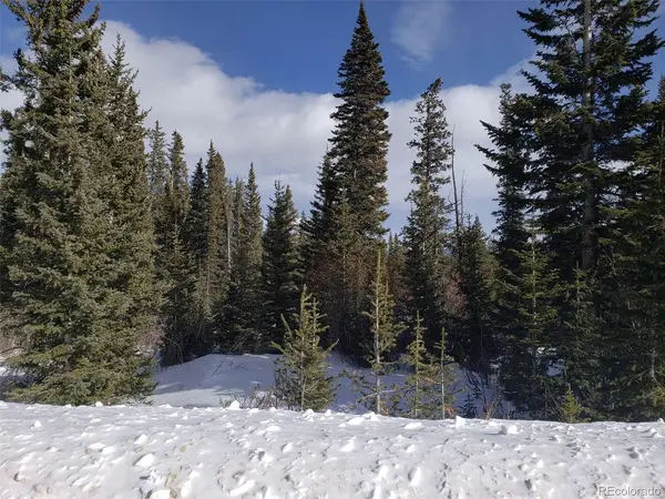 585 Porcupine, Fairplay, CO 80440