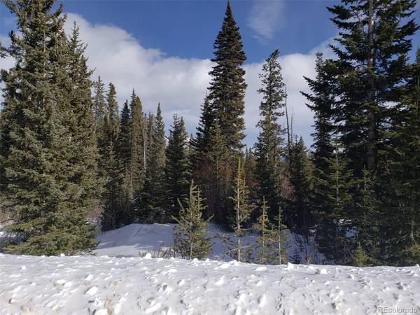 585 Porcupine, Fairplay, CO 80440