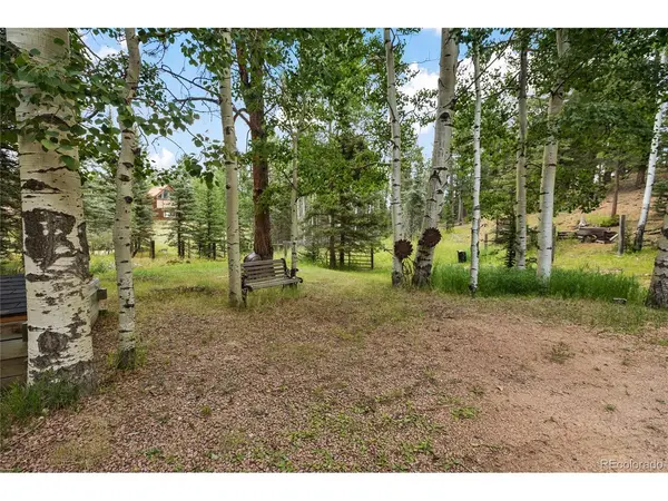 56 Blue Jay, Divide, CO 80814