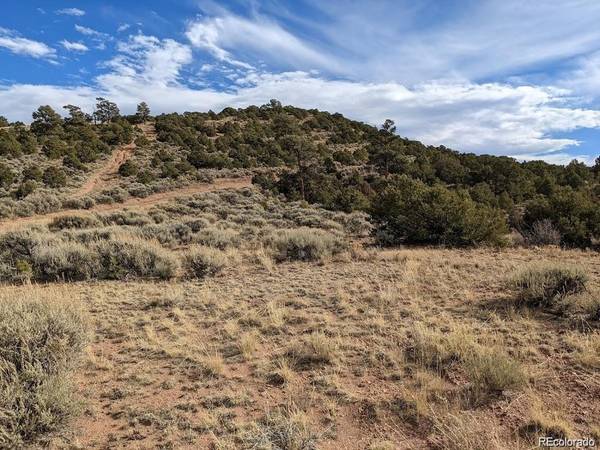Address not disclosed, Fort Garland, CO 81133