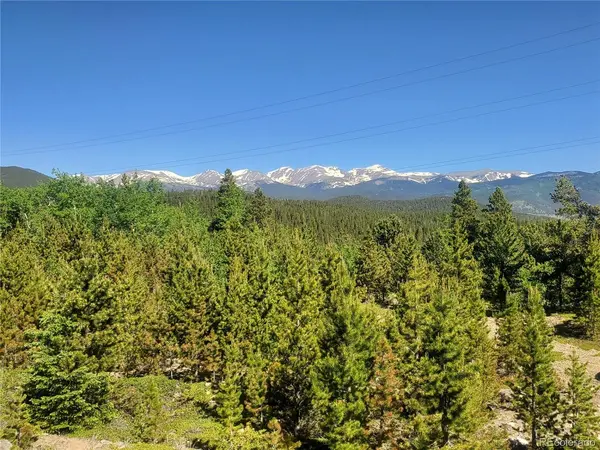 1 S Spring Gulch, Idaho Springs, CO 80452
