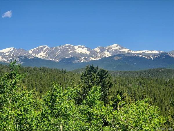 1 S Spring Gulch, Idaho Springs, CO 80452
