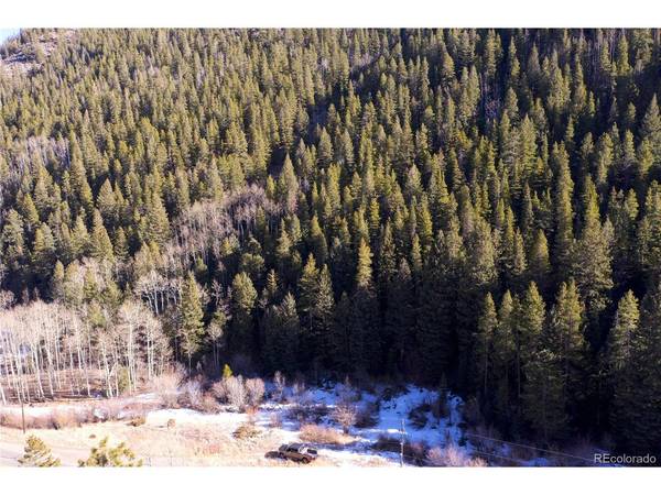 0 Highway 103, Idaho Springs, CO 80452