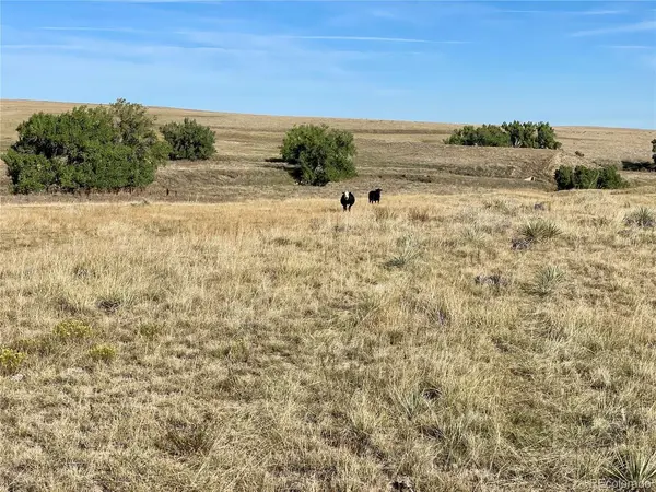 County Road 109, Deer Trail, CO 80105