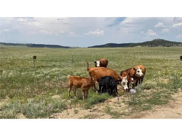 878 Cheyenne, Hartsel, CO 80449