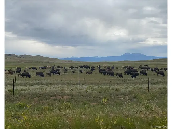 878 Cheyenne, Hartsel, CO 80449