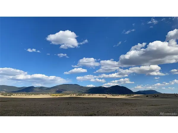 878 Cheyenne, Hartsel, CO 80449