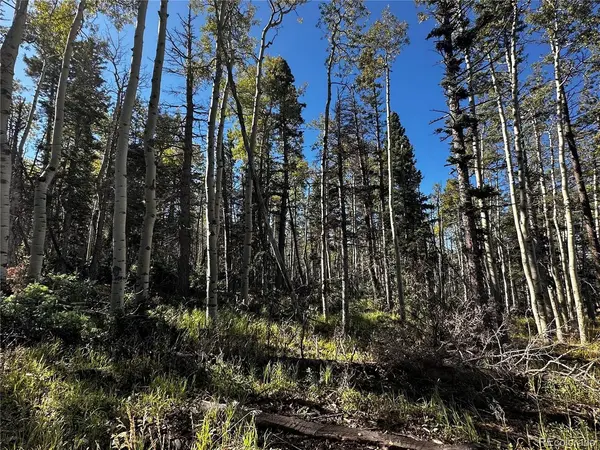 2652 Petito, Fort Garland, CO 81133