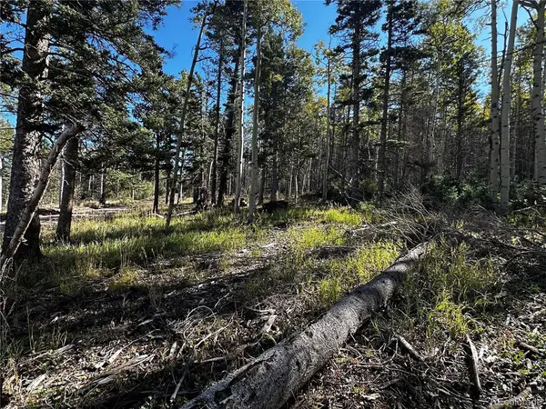 2652 Petito, Fort Garland, CO 81133
