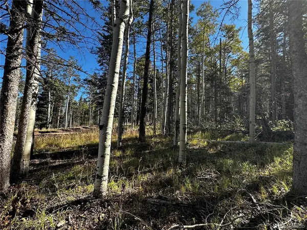 2652 Petito, Fort Garland, CO 81133