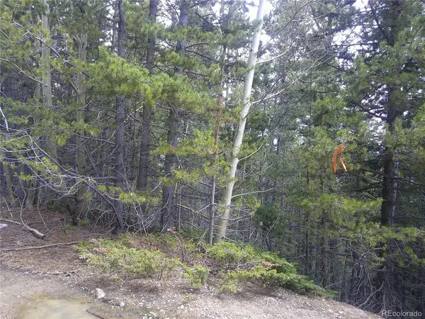 441 Hillside, Idaho Springs, CO 80452