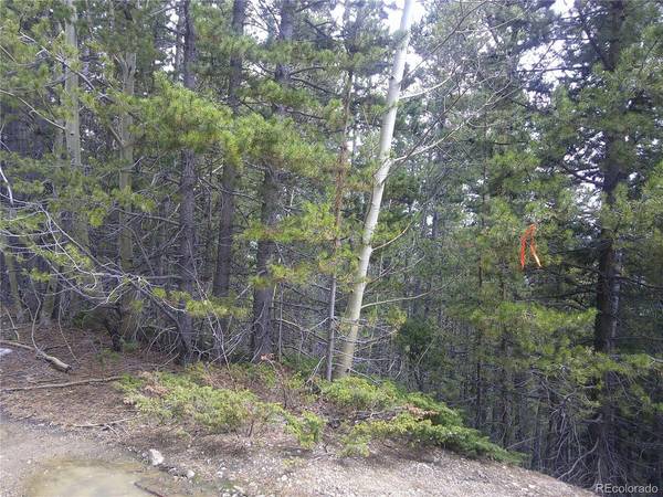 441 Hillside, Idaho Springs, CO 80452