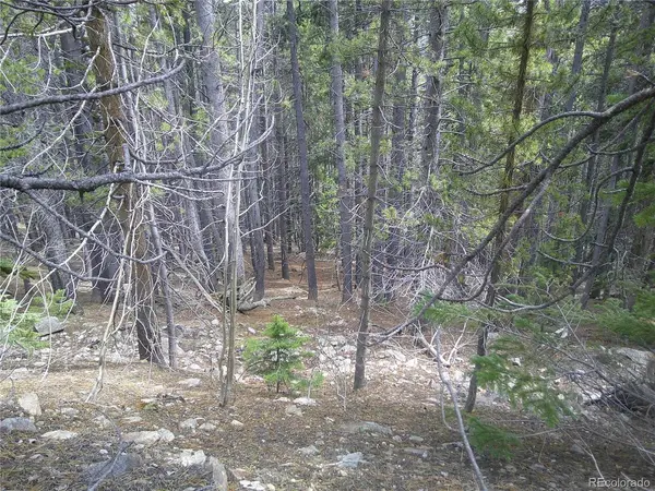 441 Hillside, Idaho Springs, CO 80452