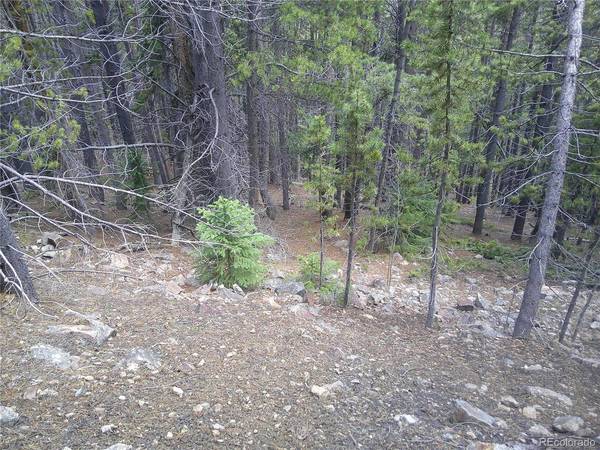 441 Hillside, Idaho Springs, CO 80452