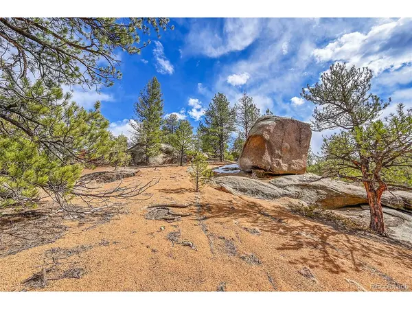 17016 Icehouse, Pine, CO 80470