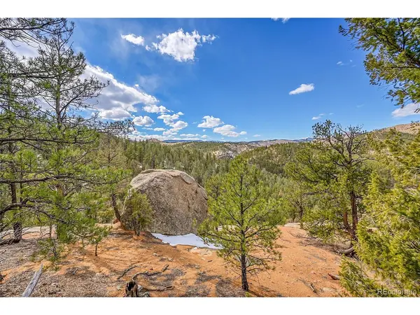 17016 Icehouse, Pine, CO 80470