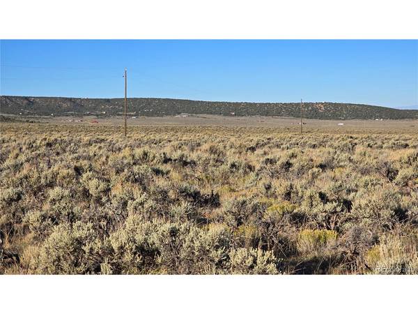3567 Young, Fort Garland, CO 81133