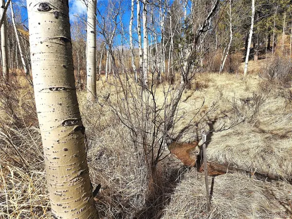 144 Gray, Bailey, CO 80421