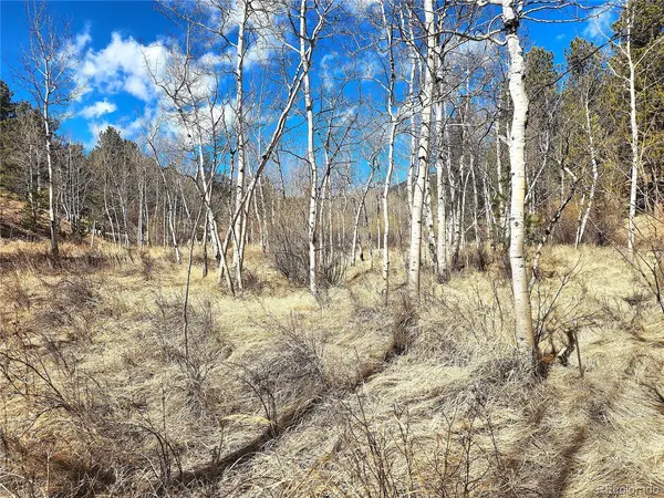 144 Gray, Bailey, CO 80421