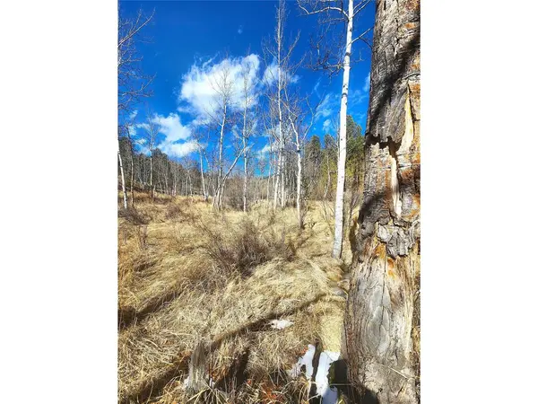 144 Gray, Bailey, CO 80421