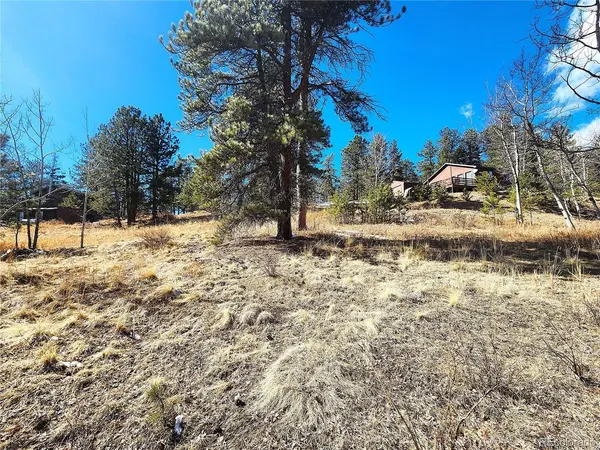144 Gray, Bailey, CO 80421