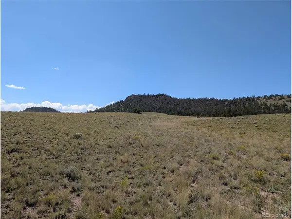 0 Cherokee, Hartsel, CO 80449