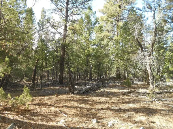 206 W Zapata, Mosca, CO 81146