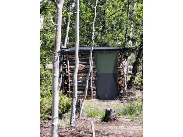 1080 Brahma, Hartsel, CO 80449