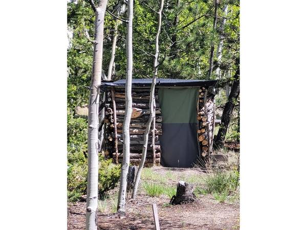 1080 Brahma, Hartsel, CO 80449