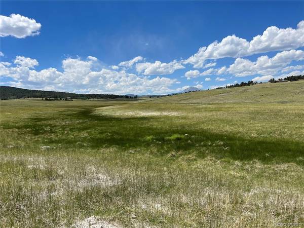 3255 Ranch, Hartsel, CO 80449