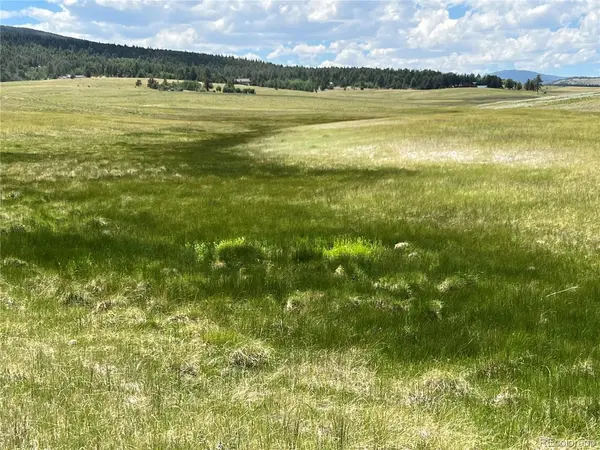 3255 Ranch, Hartsel, CO 80449