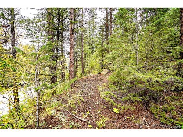 10862 Twin Spruce, Golden, CO 80403