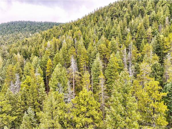 10862 Twin Spruce, Golden, CO 80403