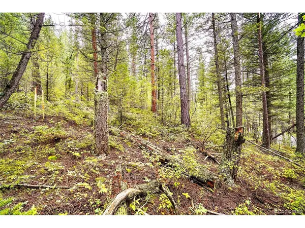 10862 Twin Spruce, Golden, CO 80403