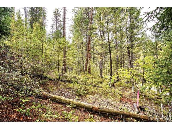 10862 Twin Spruce, Golden, CO 80403