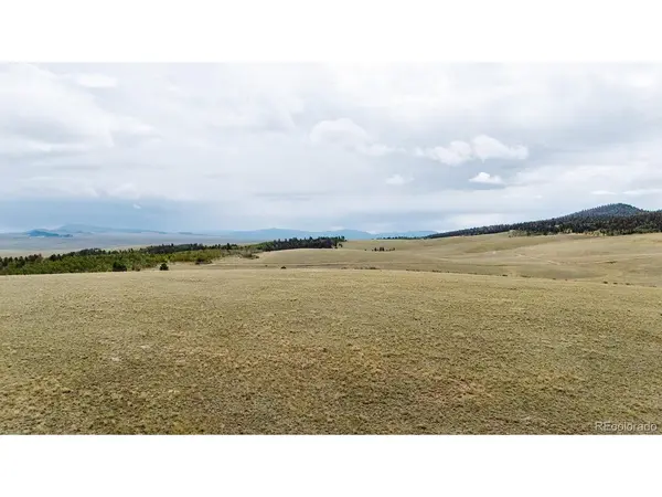 1255 Bolster, Hartsel, CO 80449