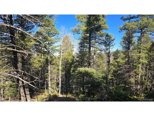 6034 Wood, San Luis, CO 81152