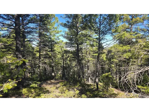 6034 Wood, San Luis, CO 81152