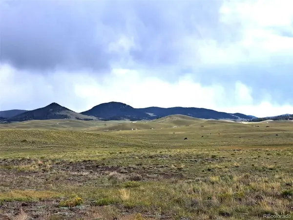 217 Black Gatto, Hartsel, CO 80449