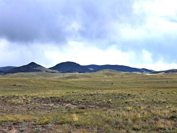 217 Black Gatto, Hartsel, CO 80449