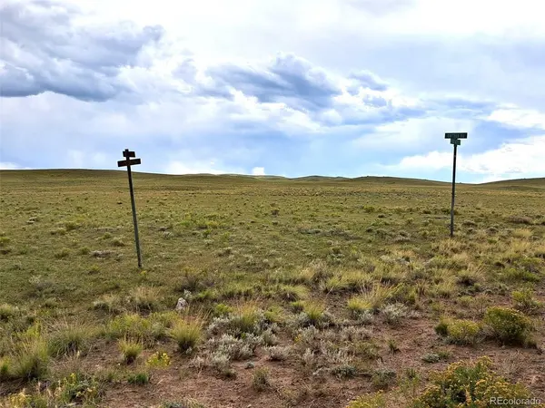 217 Black Gatto, Hartsel, CO 80449