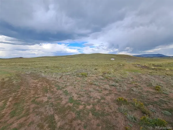 217 Black Gatto, Hartsel, CO 80449