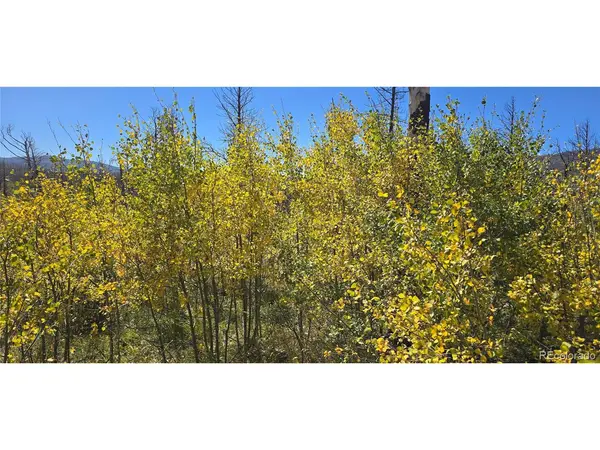 1684 Emery, Fort Garland, CO 81133