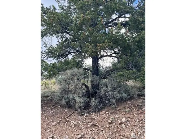 5056 France Aimee, Fort Garland, CO 81133