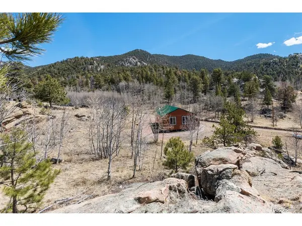 61 Garnet, Lake George, CO 80827