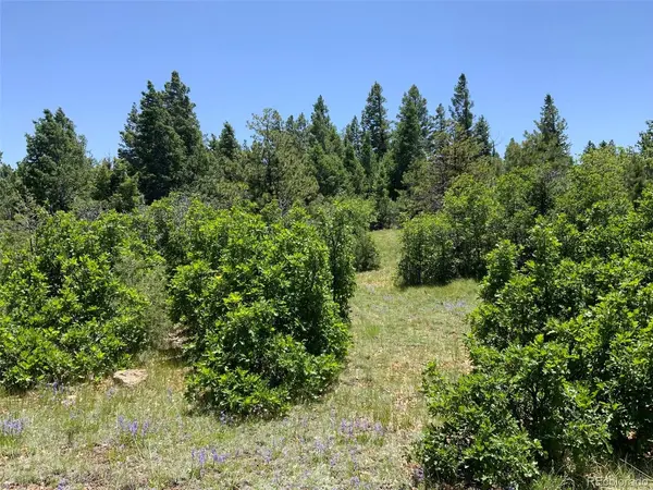 0 Peak View Ridge, Canon City, CO 81212