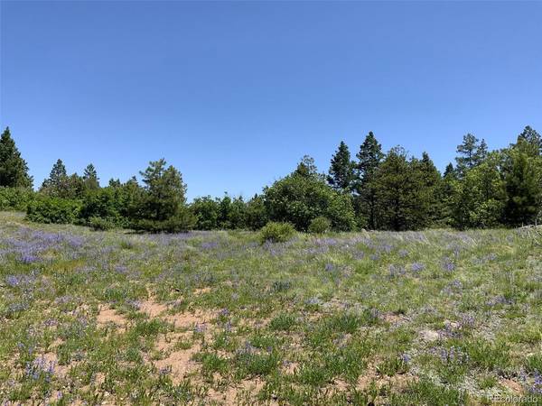 0 Peak View Ridge, Canon City, CO 81212