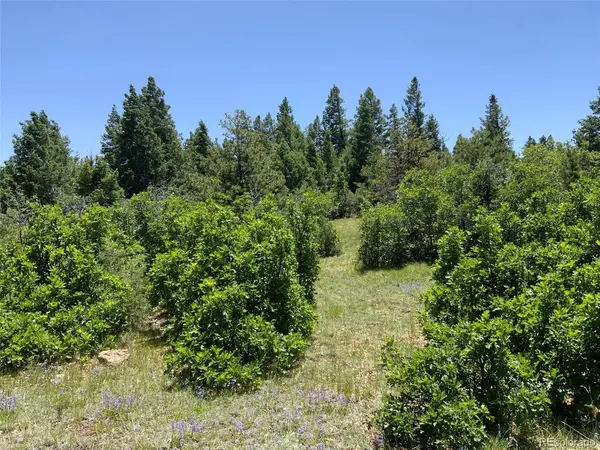 0 Peak View Ridge, Canon City, CO 81212