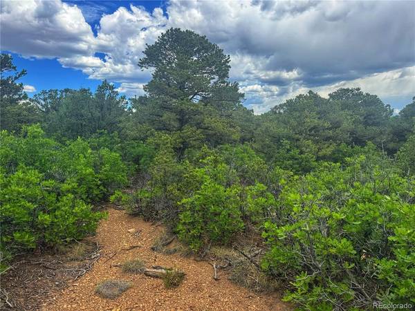 106 Colorado Land & Grazing, Walsenburg, CO 81089
